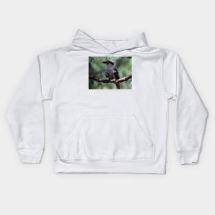 Cheeky Kookaburra Kids Hoodie